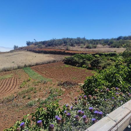 Finca El Cercadillo Gáldar Esterno foto
